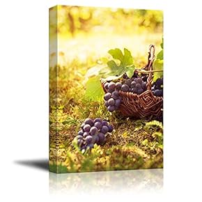 Canvas Prints Wall Art - Grapes Harvest in Vineyard with Basket of Grapes in Autumn | Modern Wall Decor/Home Decoration Stretched Gallery Canvas Wrap Giclee Print & Ready to Hang - 12" x 18"