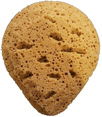 Natural-Feel Bath Body Sea Sponge Foam 5" (1)