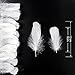 Coceca 350pcs White Feathers for Crafts 3-5 Inches (8-12cm) for Dreamcatcher Various Birthday Party Wedding Festival Decorations