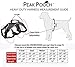 Peak Pooch - No-Pull Dog Harness - Padded, Mesh Fabric Dog Vest with Reflective Trim, Lifting Handles and Buckle Straps - Blue Dog Harness - L
