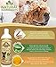 Oatmeal Shampoo for Dogs with Aloe Vera. Hypoallergenic Dog Shampoo for Allergies and Itching. Ideal Pet Shampoo for your Dog Grooming Supplies - Dog Bathing Supplies. Best Cat Shampoo & Puppy Shampoo