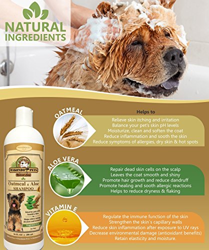 Oatmeal Dog Shampoo with Aloe Vera and Vitamin E - Hypoallergenic Dog Shampoo for Pets with Dry, Sensitive or Itchy Skin - All Natural Fragrance Free, 16 Ounces of the Best Dog Shampoo for Dry Skin