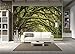 GREAT ART Large Photo Wallpaper – Oak Avenue – Picture Decoration Landscape Summer Forest Mystic Oaks Quercus Fairy Tale Alley Park Branches Image Decor Wall Mural (132.3x93.7in - 336x238cm)