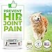 Projoint 3in1 Joint Supplement for Dogs - Premium Glucosamine Dogs Chews with Omega 3 & Antioxidants - Effective Hip and Joint Pain Relief, 60 Ct Dog Joint Supplement Chews, Made in USA