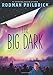 The Big Dark