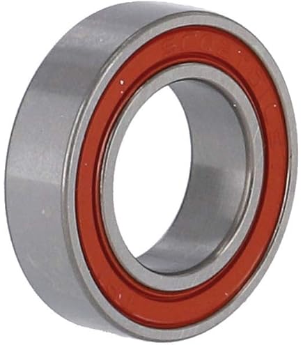Amazon.com: DT Swiss Sinc Ceramic Bearings : Sports & Outdoors