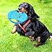 Ranphykx Dog Puppy Toys 11 Pack, Dog Rope Toys Puppy Chew Toys for Playtime Puppy Teething Toys, Dog Flying Disc, Washable Cotton Rope