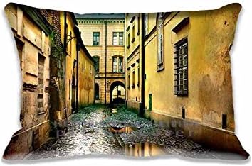 Beautiful Town Color Cotton Polyester Rectangle Decorative Throw Pillow Case Cushion Cover 20x30inch