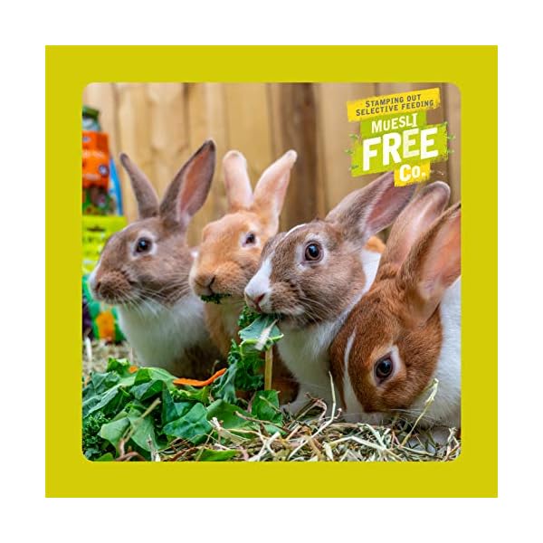 Burgess Excel Nuggets with Mint Adult Rabbit Food, 10 kg