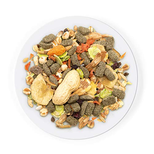 Witte Molen Pure Rat Seed Mixture Peanut & Banana Dry Rat Food (Dumbo Rats, Manx Rats, Dwarf