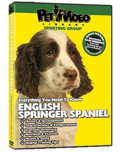 ENGLISH SPRINGER SPANIEL DVD! Dog Puppy Training Bonus in