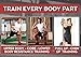 Lifeline Resistance Trainer Kit with 10lb to 100lb Adjustable Resistance Level Bands for More Workout Options Includes Triple Grip Handles, Door Anchor, 5ft Exercise Tubes and Carry Bag, Extreme