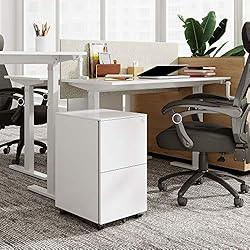 DEVAISE 2-Drawer Mobile File Cabinet with