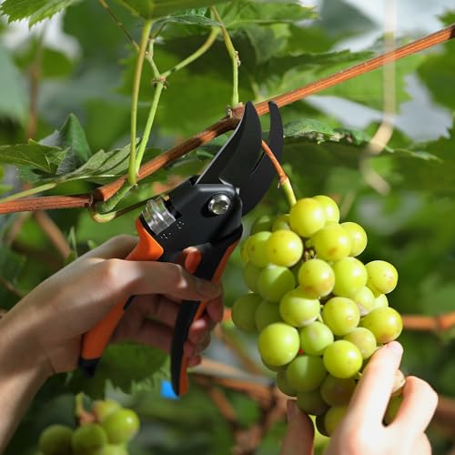 VOTREK® 8.5" Garden Secateurs for Weak Hands, Professional Bypass Pruner | Patented Stepless Handle, Japanese SK5 Blades, Heavy Duty Pruning Shears, Gardening Scissors for Grass, Branches & Stems