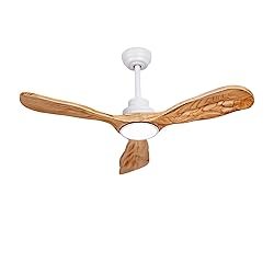 Ceiling Fans with Lights and Remote,42 Inch Unique