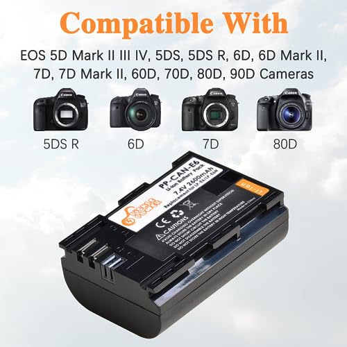 Chargeur Rapide LC-E6/LC-E6E Pour Batteries Canon LP-E6/LP-E6N/LP-E6NH - Compatible EOS 90D, 80D, 5D Mark IV, R5, R6, Etc.