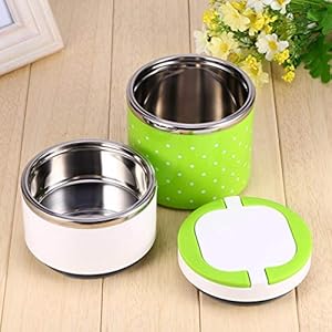 Roestvrijstalen lunchboxcontainers, lunchcontainer, 930 ml isolatie Thermo-thermische 2-laags voor mannen en vrouwen