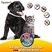 Pet Flea and Tick Collar for Cats and Kittens - 6 Months Protection, Stops Bites, Itching, Kill Insects, Larvae, Eggs and More - Waterproof, and Fully Adjustable by Totopet's™