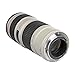 Canon EF 70-200mm f/4L USM Telephoto Zoom Lens for Canon SLR Cameras