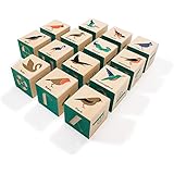 Uncle Goose Bird Blocks - Made in The USA