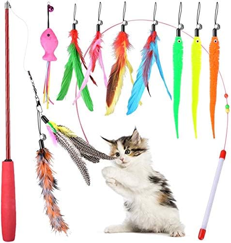 Qoosea Jouet A Plumes Pour Chats Retractables Plume Teaser Jouet Pour Chat 10 Baguette De Chat Plume Jouets Interactifs Avec Des Cloches De Perles Et Des Recharges De Plumes Pour Chat Et Qoosea Jouet A Plumes Pour Chats Retractables Plume Teaser Jouet Pour Chat 10 Baguette De Chat Plume Jouets Interactifs Avec Des Cloches De Perles Et Des Recharges De Plumes Pour Chat Et