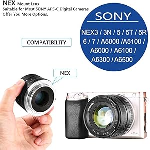 Neewer 35mm F1.2 Manual Focus Large Aperture Prime APS-C Aluminum Lens for Sony E Mount Mirrorless Cameras A7III A9 NEX 3 3N 5 NEX 5T NEX 5R NEX 6 7 A6400 A5000 A5100 A6000 A61   00 A6300 A6500
