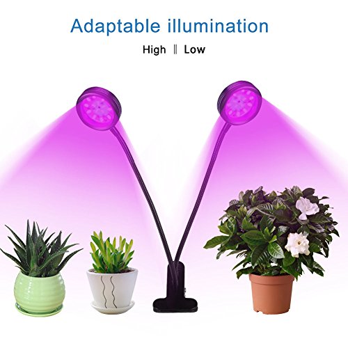 LED Growth Light, INKERSCOOP Horticultural Plant Lighting with Timer Remote Control(3H/6H/12H), Dual Head 12W LED & 5 Modes Brightess Lamp for Indoor Plants Greenhouse Office