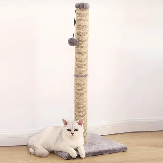 cat climbing toys