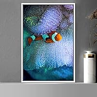 Framed Canvas Wall Art Clownfish Bedroom Colorful Jellyfish Marine Life Multicolor Neon Photography Tropical - 16x24 inches