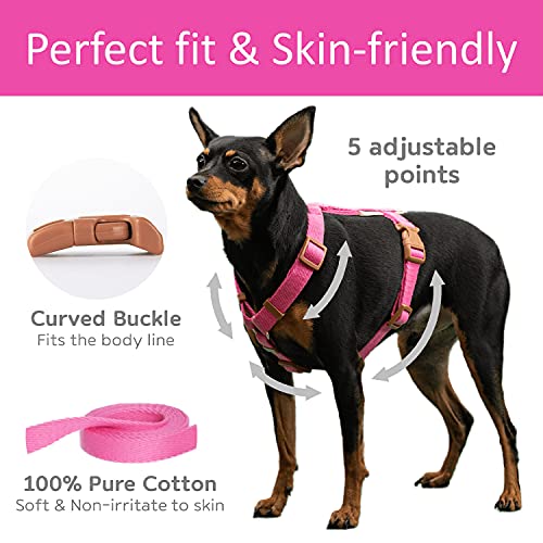 Boddlelang Adjustable Dog Harness, No Choke and Escape Proof, Soft Cotton, Pet Walking Halter Harnesses for Small and… - Image 3
