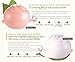 Ladykin Aqua Exfoliator face scrub and Ladykin Affinitic Snail Repair Cream Moisturizer - All In One Brightening and Recovery Power Korean Skin Care By BeautyFully.