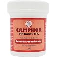 De La Cruz Camphor Ointment 11% – 2-Pack (2.5 Oz Each) For Muscle Pain Relief - View #3