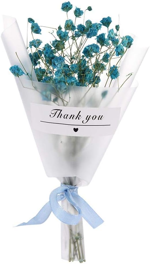 Mini Natural Dry Flower Wedding Home Decoration Creative Craft