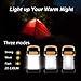 SEYEON Solar LED Pocket Camping Lantern Lights USB Rechargeable Portable SOS Flashlight,Outdoor Lights Emergency Charger for Phone,Waterproof Collapsible Ultra Compact Mini Torch Night Light