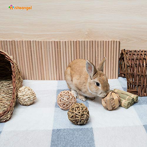 Niteangel Small Animal Activity Toy, Fun Pet Balls (Pack of 4) - //coolthings.us