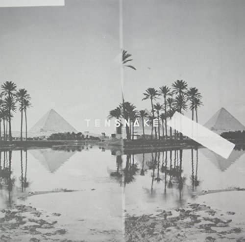 Tensnake - Desire - Zortam Music