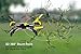 Tenergy TDR Phoenix App Controlled WIFI FPV RC Drone Quadcopter