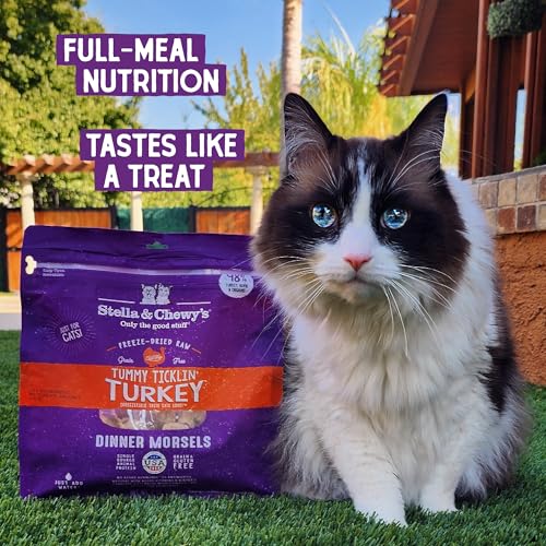 STELLA & CHEWY’S FREEZE-DRIED RAW CAT DINNER MORSELS – PREMIUM TURKEY RECIPE WITH 98% FARM-RAISED MEAT & ORGANS – NATURAL GRAIN-FREE CAT & KITTEN FOOD – MADE IN USA – 3.5 OZ