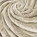 Bare Home Fleece Blanket - Full/Queen - Ultra-Soft Lightweight for Bed, Sofa, and Couch - Luxury Microplush - Cozy Warm Blanket (Full/Queen, Oyster)