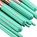 Makeup Brush Set Soft Synthetic Bristles Make Up Powder Blush Contour Eyeshadow Lip Foundation Brushes Kit with Gift Bag (12pcs Green)