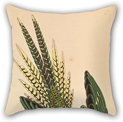 16 X 16 Inches / 40 By 40 Cm Oil Painting James Sowerby - Ground Parrot, Psittacus Terrestris Cushion Cases 2 Sides Is Fit For Chair Sofa Him Home Theater Living Room Lounge