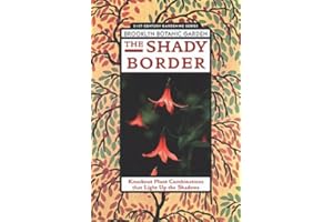 The Shady Border: Knockout Plant That Light Up the Shadows