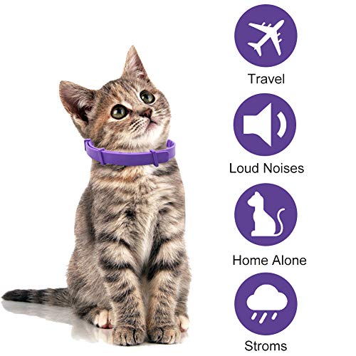 TOULIFLY Calming Collar For Cats,Cat Calming Collar,Cat Pheromones