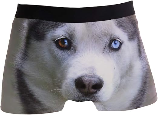 husky boxer shorts