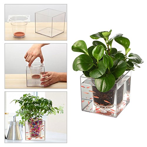 Garden Fish Tank, Pathonor Transparent Self-watering Pot Wall Planter Desktop Flowerpot-DIY Educational Home Garden Fish Tank for Living Office And Home Decor hyaline