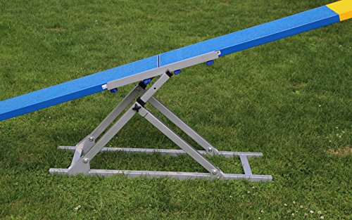 agility seesaw