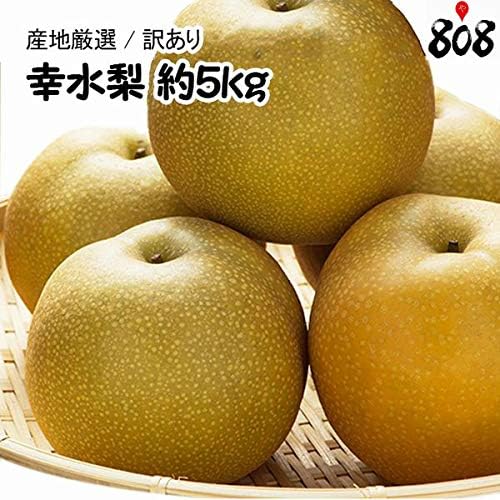 Amazon 訳あり品 産地厳選 幸水梨 約5kg 大きさお任せ 808青果店 なし 通販
