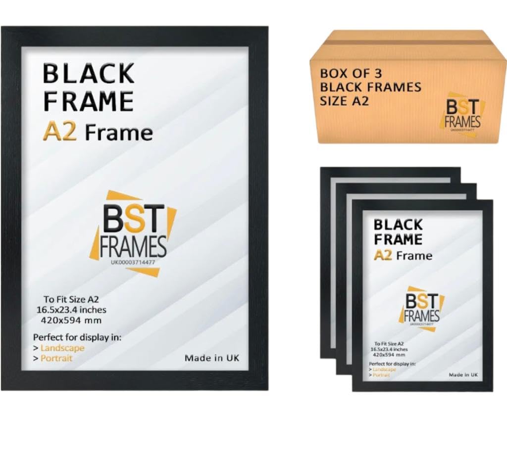 Pack Of 3 Modern Picture Photo Poster Frames (Black, A2 (594 x 420mm)