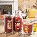 Yankee Candle Spiced Pumpkin Scented, Classic 7oz Small Tumbler Single Wick Candle, Over 35 Hours of Burn Time