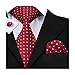 Hi-Tie Mens Red Polka Dots Silk Tie Pocket Square Cufflinks set